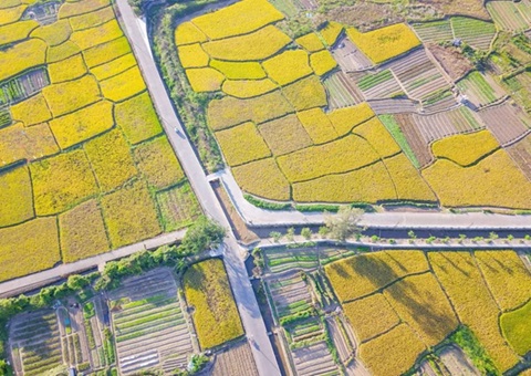 中山出台农村整体谋划性建设用地入市新政