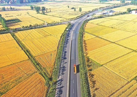 湖北奖励十五个耕保效果突出县（市、、区）