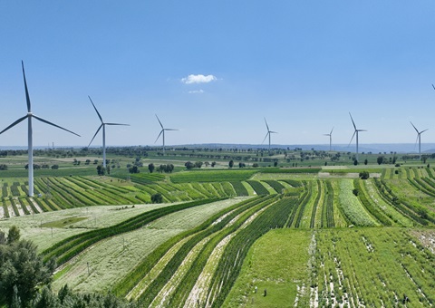 陕西省榆林市定边县：：：领土空间妄想“一张图”实现营业“一站式”高效办理