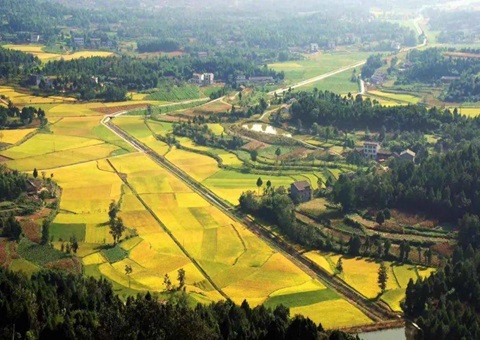 四川省广元市经开区多措并举盘活系统闲置土地为生长注入新动能