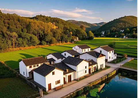 广元市苍溪县探索“用地包管+耕地保唬唬护”良性互动新行动