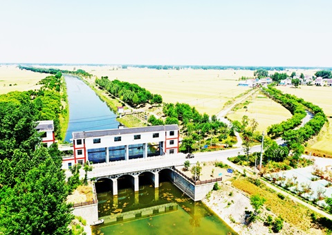 淮北市：“聘”好驻镇妄想师 做优“陪同式”墟落妄想服务