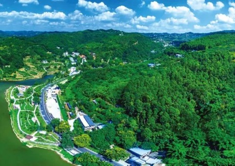 包管重大项目加速落地！！！成都会构建用地用林联动审查机制