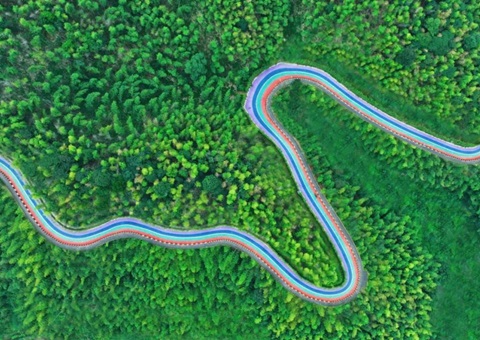 组合供应出新招，竹海收益节节高——桃江县“桃花江竹！！弊匀蛔试醋什楹瞎┯ν贫芳壑凳迪职咐