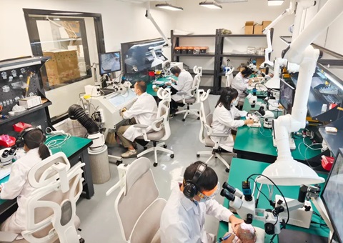 解锁远古“生命档案”！！！广西首家专业古生物化石修复判断室亮相