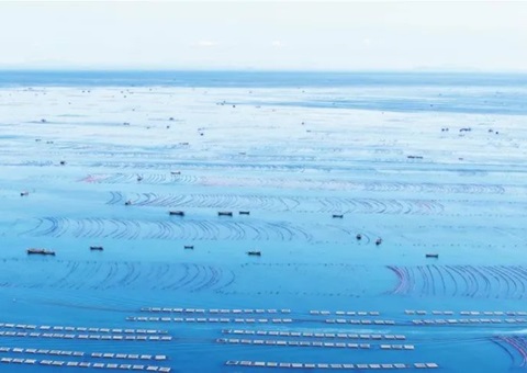 辽宁周全清查海洋资源资产实物量、、价值量、、使用权——摸清海洋“家底儿”