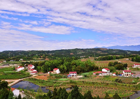 河南：：：2026年年底前实现墟落地区妄想治理全笼罩