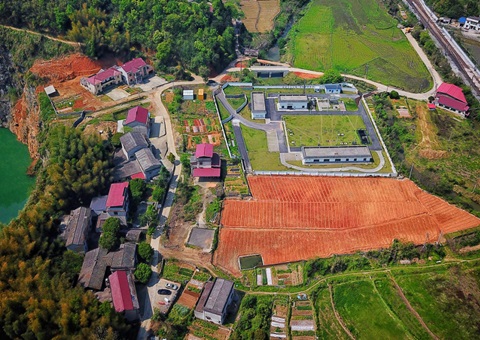 株洲：“三链联动”推动耕地耕作层剥离再使用